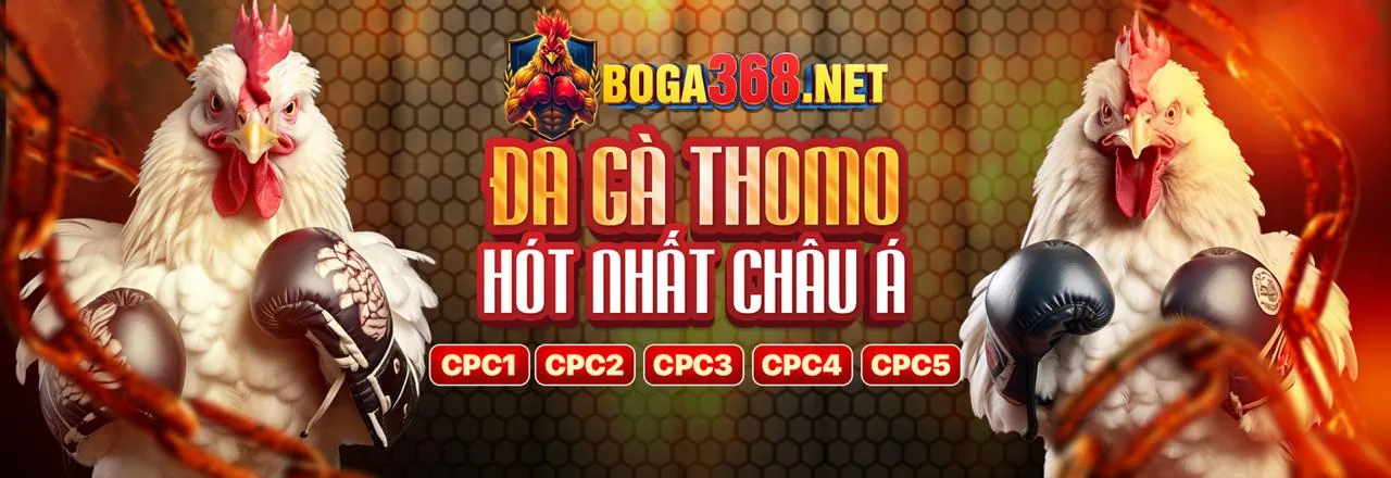 Đá Gà Trực Tuyến Banca07